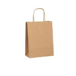 Large Twisted Handles Paper Bag – 250pk